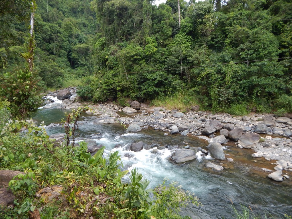 The Savegre river, gushing below our cabin at the RAC (sounds not included)