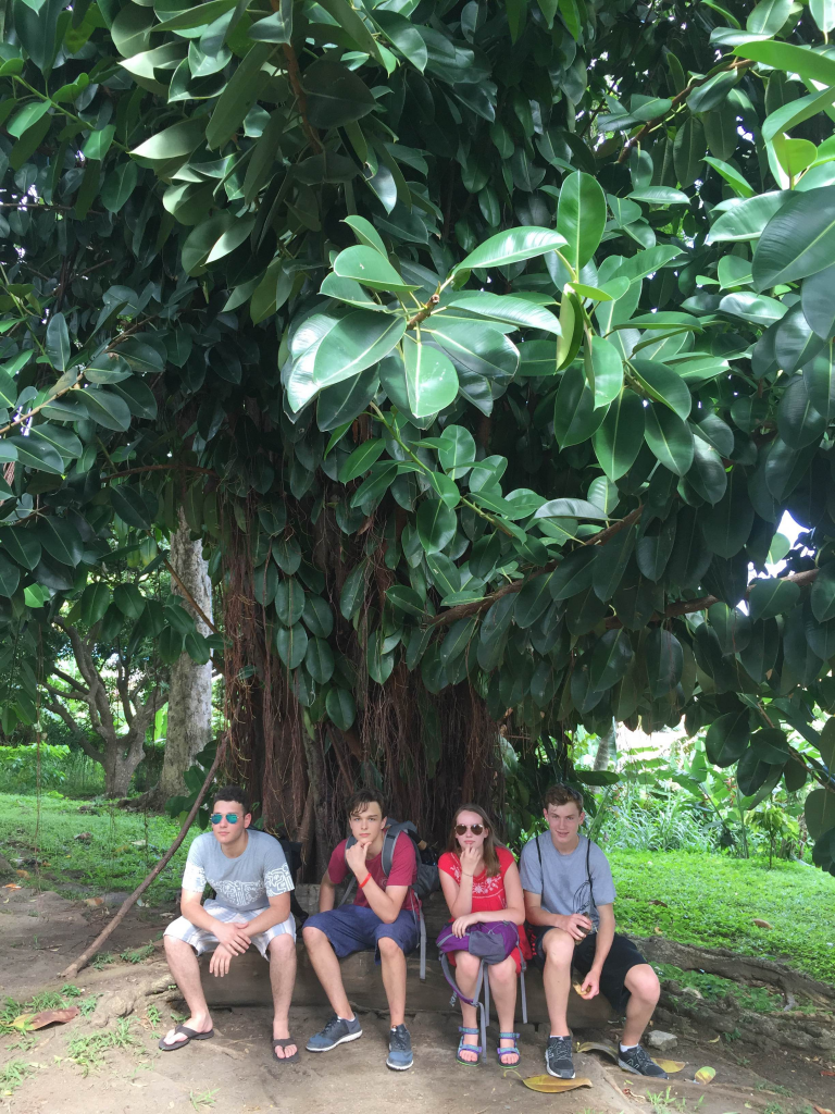 Gren_Tree